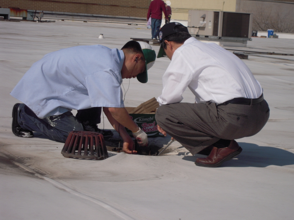 Resized_va roof 065.jpg